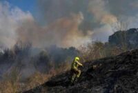 SERANGAN  ini terjadi di tengah perang yang sedang berkecamuk antara Israel dan Hamas di Jalur Gaza. (Foto Istimewa)
