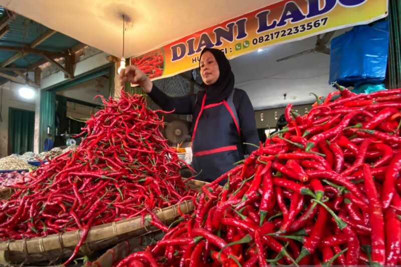 Stok dan Kebutuhan Cabe di Pasaran Cukup Banyak (foto:istimewa)