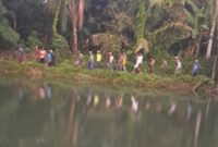 Lokasi warga diterkam buaya di Sungai Cijalaran, Kecamatan Cigeuli, Kabupaten Pandeglang. ( Istimewa )