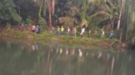 Lokasi warga diterkam buaya di Sungai Cijalaran, Kecamatan Cigeuli, Kabupaten Pandeglang. ( Istimewa )