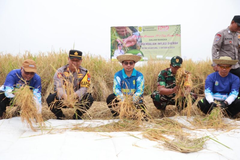 panen raya di Kelurahan Tanjung Pagar, Kecamatan Banjarmasin Selatan (foto:istimewa)