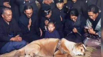 Foto Terakhir Hachiko, Anjing Setia dari Jepang yang lebih dari 9 tahun di luar stasiun Shibuya setelah tuannya meninggal (Foto Istimewa/Bomindonesia)
