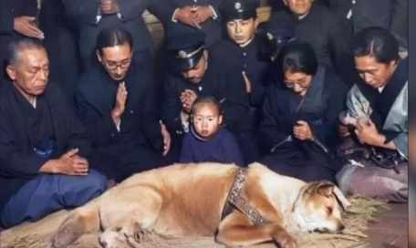 Foto Terakhir Hachiko, Anjing Setia dari Jepang yang lebih dari 9 tahun di luar stasiun Shibuya setelah tuannya meninggal (Foto Istimewa/Bomindonesia)
