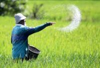 Program Pemerintah Mudahkan Petani Mendapatkan Mudah Mendapatkan Pupuk Bersubsidi (foto:istimewa/bomindonesia)