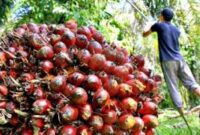 Kajian Sistemik tentang Pencegahan Maladministrasi pada Layanan Tata Kelola Industri Sawit  (foto:istimewa/bomindonesia)