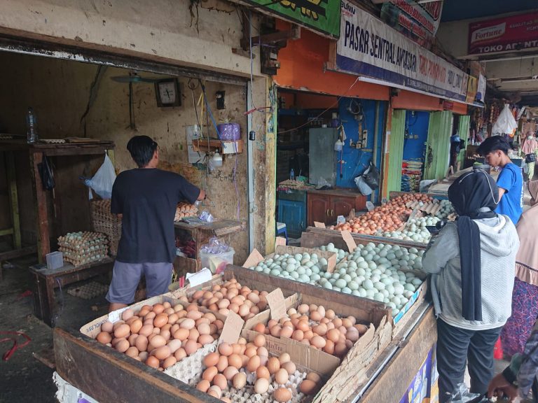 Pedagang Telur Terus Melayani Pembeli (foto:istimewa/bomindonesia)