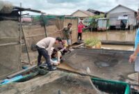 Bantuan 1000 benih ikan diserahkan Kapolsek Banjarmasin Timur AKP Syuaib Abdullah, pasca petambak di Benua Anyar mengalami musibah perubahan iklim matinya ikan secara massal, Selasa (17/12/2024). (foto:bomindonesia)