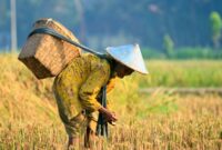 Petani Indonesia Makin Gigih Berusaha (foto:istimewa/bomindonesia)