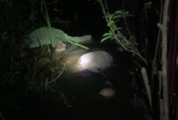 Temuan mayat mengapung di Teluk Sungai Gampa Kelurahan Sungai Jingah tembus Sie Andai Kecamatan Banjarmasin Utara, Minggu (15/12/2024) malam. (foto:istimewa/bomindonesia)