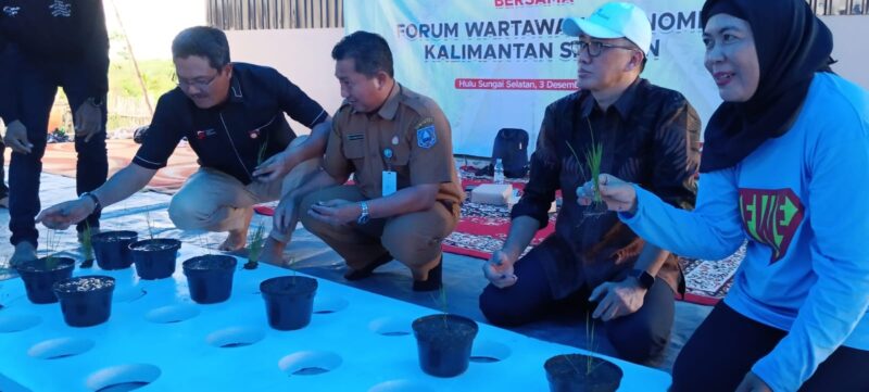 Praktik Penanaman Padi Apung Oleh Kepala Dinas Pertanian HSS M Noor, Dirut Bank Kalsel Fachrudin, Kepala OJK Kalsel Agus Maiyo, dan Forum Wartawan Ekonomi (FWE) Kalsel di HSS (foto:bomindonesia)