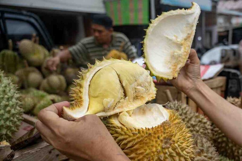Saat Ini Musim Buah Durian, Banyak Warga Menikmati Buah Durian di Tepi Jalan Belitung Banjarmasin (foto:istimewa/bomindonesia)