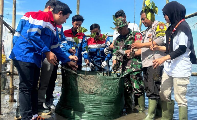 Program Hutan Petrofin 2025 sebagai Kontribusi Nyata dalam Mendukung Target Net Zero Emission 2060 (foto:istimewa/bomindonesia)