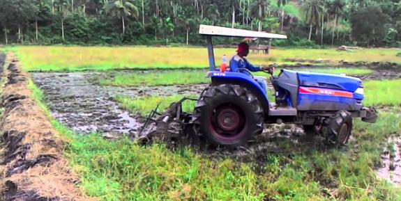 Menggarap Sawah dengan Traktor (foto:istimewa/bomindonesia)