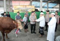 Kapolri dan Jajaran Polda Kalsel Sumbang Sapi di Sekumpul untuk Peringatan 5 Rajab 1446 H (Foto Istimewa/Bomindonesia)