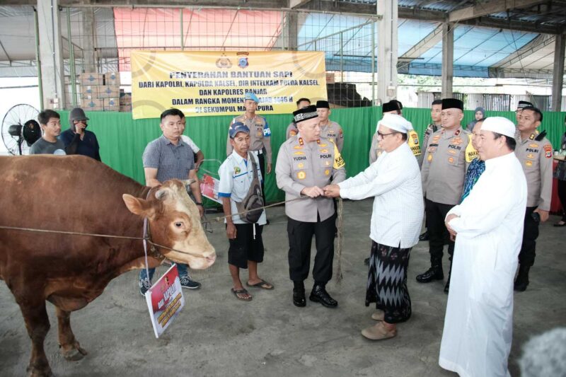 Kapolri dan Jajaran Polda Kalsel Sumbang Sapi di Sekumpul untuk Peringatan 5 Rajab 1446 H (Foto Istimewa/Bomindonesia)