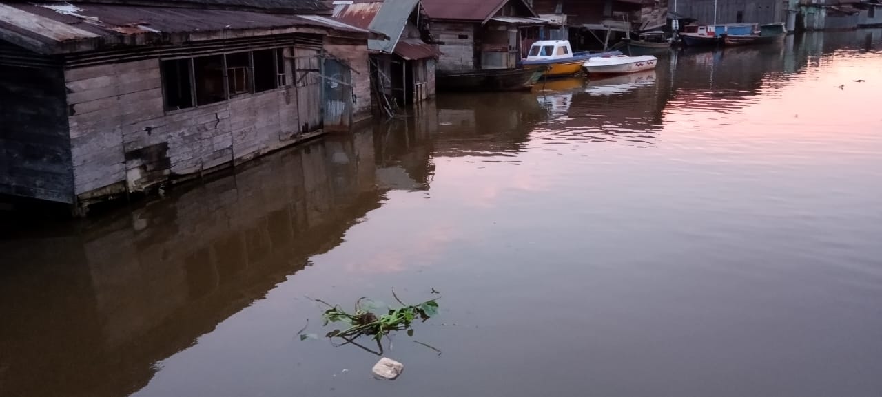 Rumah Warga Dibantaran Sungai Kuin Nyaris Calap pada Petang. Seiring Musim Hujan dan Banjir Rob Melanda di Kota Banjarmasin, Provinsi Kalsel. (foto:bomindonesia)