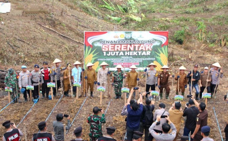 Penanaman jJgung serentak di Kecamatan Laung Tuhup (foto:maya/diskominfo)