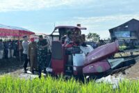 Dukung Ketahanan Pangan Nasional,  Pangdam VI/Mulawarman Panen Raya dan Tanam Serentak di Kalimantan Selatan (Foto Penrem101/Ant).