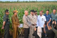 Kapolda Kalsel dan Forkopimda Tinjau Lahan Ketahanan Pangan, Wujudkan Kemandirian Pangan di Bumi Banua (Foto Humas Polda Kalsel)