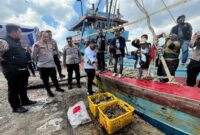Direktur Ditpolairud Polda Kalsel Kombes Pol Andi Adnan  saat menunjukkan hasil tangkapan ikan ilegal 2,4 ton di perairan Pulau Sebuku (Foto Istimewa)