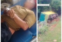 Laka tunggal truk terjatuh , sopir asal Banjarmasin Tewas di Jalan Cilik Riwut Palangkaraya, Selasa (22/4/2025) sore. (foto: istimewa)