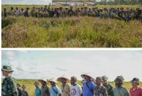 Momen bersejarah terjadi di Kampung Wanam, Papua Selatan, Jumat (16/5/2025), saat panen perdana padi di lahan cetak sawah demplot dilangsungkan.(Foto Istimewa )

