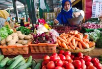 Kebutuhan Pangan Tercukupi di Kalimantan