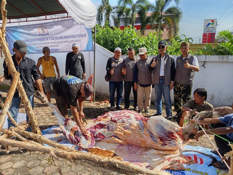 Kadin Kalsel Sembelih 3 Ekor Sapi Kurban