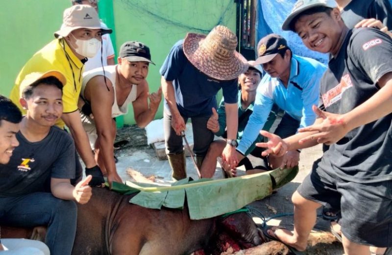 Proses penyembelihan hewan kurban oleh LDII Kalsel sebelum dibagikan dagingnya ke masyarakat.