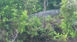 Tangkapan layar akun Instagram @sampitvgram