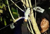 Beberapa relawan saat mengevakuasi korban gantung diri dengan kabel Wi-Fi di Pelambuan, Banjarmasin Barat, Jumat (19/9/2025) dinihari (Foto Istimewa)