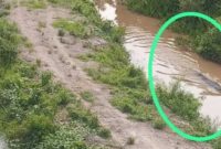 Tangkapan layar Instagram @kabarkalselku