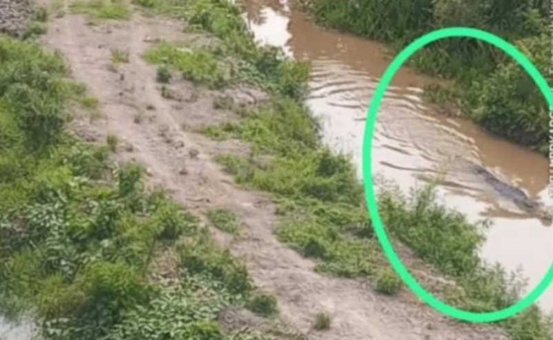 Tangkapan layar Instagram @kabarkalselku