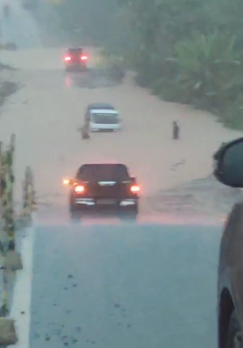 Beberapa mobil yang terendam Banjir (Tangkapan layar video medsos)