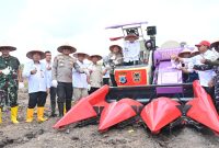 Kegiatan tanam jagung kuartal IV di lahan rawa Polda Kalsel, Jalan Gubernur Syarkawi KM 17, Kabupaten Banjar, Rabu (8/10/2025) (Foto Istimewa)
