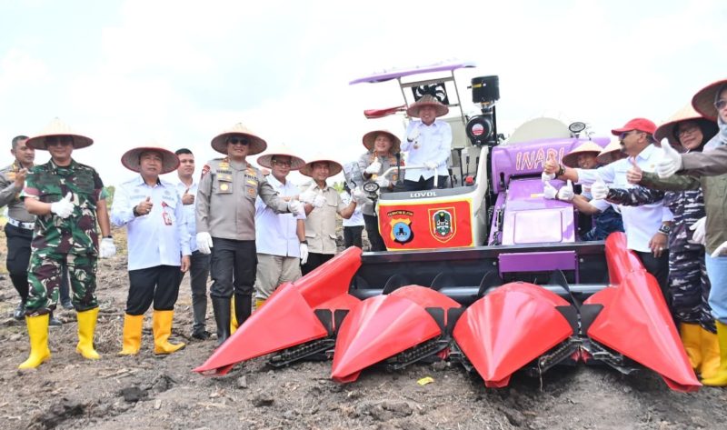 Kegiatan tanam jagung kuartal IV di lahan rawa Polda Kalsel, Jalan Gubernur Syarkawi KM 17, Kabupaten Banjar, Rabu (8/10/2025) (Foto Istimewa)
