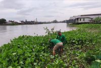 Aksi tanam pohon endemik rambai warnai peringatan Anniversary ke-7 Perkumpulan Hijau Daun (PHD) Banjarmasin