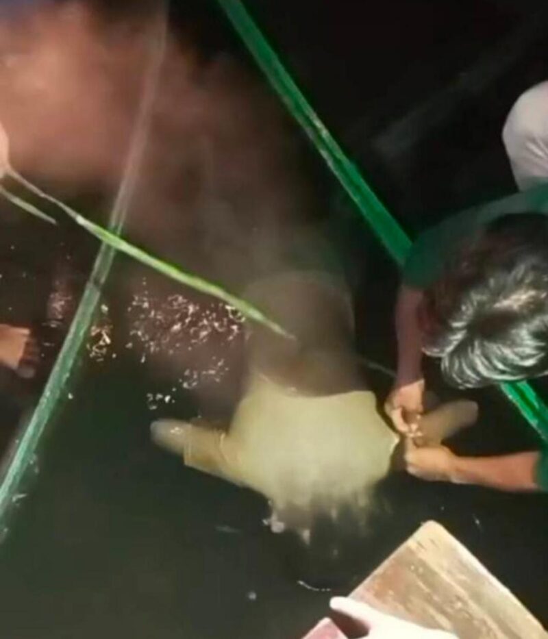 KORBAN TENGGELAM - Mirza Nur Furqon (12), akhirnya ditemukan, Jumat (20/3/2026) malam sekitar pukul 23.00 Wita di Sungai Alalak Banjarmasin Utara. (foto:istimewa)