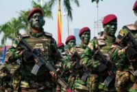 Pasukan Elite TNI ( Foto Istimewa)