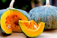 Buah Labu Bagus untuk Kesehatan Tubuh