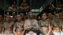 Para narapidana di dalam sel penjara Pusat Penahanan Kontra-Terorisme (CECOT), tempat ratusan anggota geng MS-13 dan 18 Street ditahan, di Tecoluca, El Salvador, 27 Januari 202 (
Marvin RECINOS / AFP via Getty Images)
