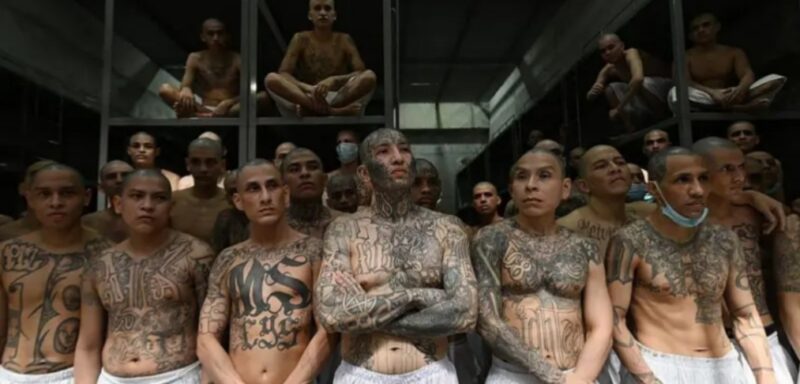 Para narapidana di dalam sel penjara Pusat Penahanan Kontra-Terorisme (CECOT), tempat ratusan anggota geng MS-13 dan 18 Street ditahan, di Tecoluca, El Salvador, 27 Januari 202 (
Marvin RECINOS / AFP via Getty Images)
