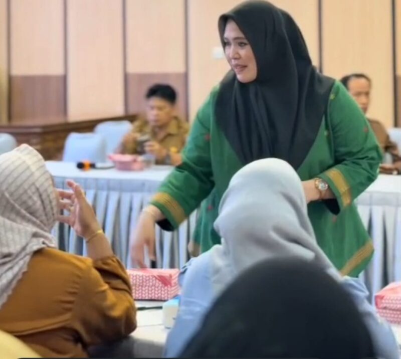 Wakil Ketua I DPRD Murung Raya Dina Maulidah (foto: istimewa)