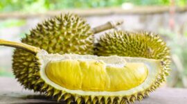 Buah Durian Enak Dikonsumsi