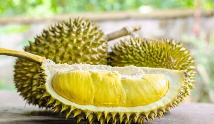 Manfaat Makan Durian untuk Ibu Hamil