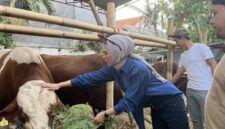 Hewan Kurban Siap Dipotong di Momen Idul Adha