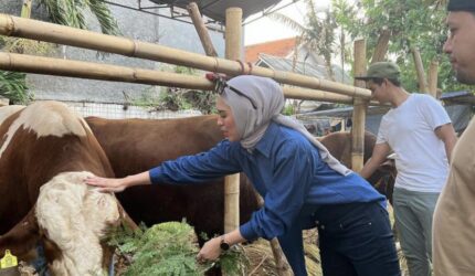 Ibadah Kurban Simbol Ketundukan Total Kepada Allah SWT