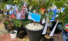 HUT ke-45, Wali Kota Yamin Minta Tanaman Saja