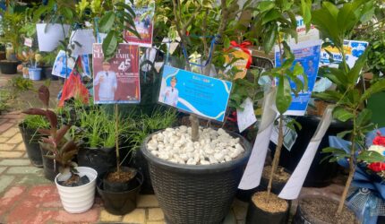 HUT ke-45, Wali Kota Yamin Minta Tanaman Saja