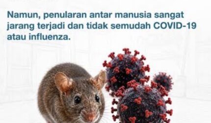 Tak Ada Kasus Hantavirus di Banjarmasin, Kuncinya Kebersihan